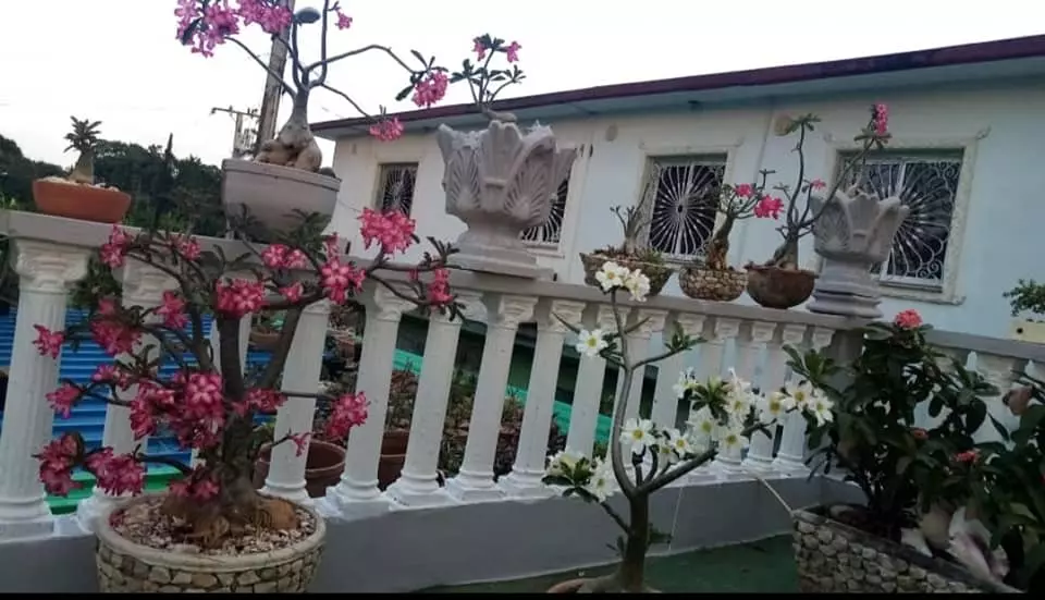 Vendo casa en ampliación del Sevillano,  Arroyo Naranjo