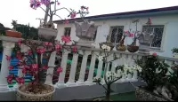 Vendo casa en ampliación del Sevillano,  Arroyo Naranjore